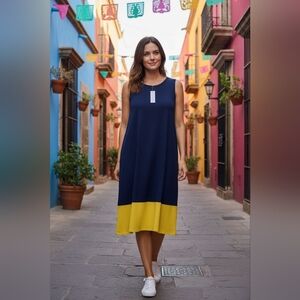 Annalee+Hope Navy & Yellow Drop Waist Dress Size Large